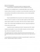 Plan de mi vida a largo plazo