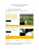 EJERCICIO DE RECONOCIMIENTO USO BASES DE DATOS
