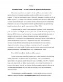 Ensayo suicidio en adultos mayores