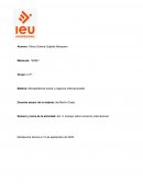 Ensayo sobre comercio internacional