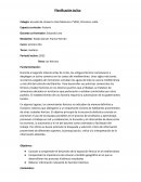 Planificación áulica los fenicios