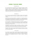 Actividad "Plan de vida y carrera"
