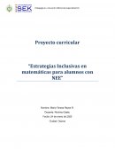 Proyecto curricular “Estrategias Inclusivas en matemáticas para alumnos con NEE”