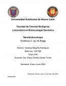 Evidencia 4 Nanobiotecnologia