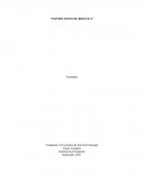 ENSAYO Rey Hammurabi