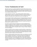 Fundamentos Saas