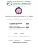 ENSAYO SOBRE OBSERVACIONES GUBERNAMENTALES