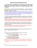 SIMULACRO PLAN DE REDACCIÓN (Solucionario)
