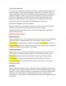 SISTEMA CARDIOVASCULAR