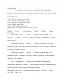 Logística de distribución y transporte