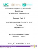 Actividad regularización. La comunidad y su relación con el medio ambiente: interacciones y medidas para la conservación
