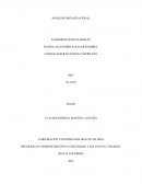 ANÁLISIS ORGANIZACIONAL empresa CONSTRUBIENES JG S.A.S