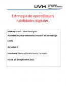 Análisis-Ambientes Virtuales de Aprendizaje (AVA)