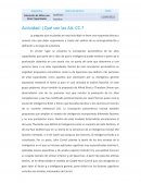 Actividad: ¿Qué son las AA. CC.?