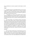 Agrupaciones mercantiles. Sociedad Anónima