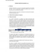 INFORME CEMENTOS PACASMAYO S.A.A