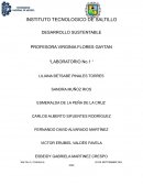 DESARROLLO SUSTENTABLE “LABORATORIO No.1 “