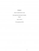 Evidencia 1 Taller Estados financieros