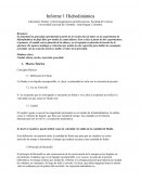 Informe Hidrodinamica