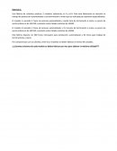 Ensayo cálculo variables