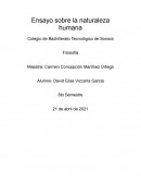 Ensayo de la naturaleza humana