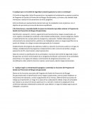 Comité de Seguridad y Salud Ocupacional