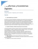 Plataformas Tim Berner