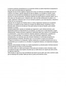 La lectura comienza colocándonos en un escenario dónde un padre emprende la búsqueda de su hija, quien fué esclavizada por Agamenón