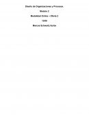 Diseño de Organizaciones y Procesos