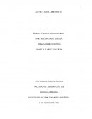 ¿De que trata la botanica?