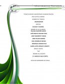 Organigrama. Sueldos y salarios