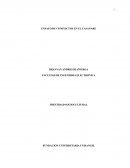 La petrolera perenco y su afectación a la vida en Casanare