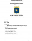 Informe de practica elaboración de néctares