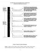 GESTIÓN DEL MANTENIMIENTO DE AERONAVES