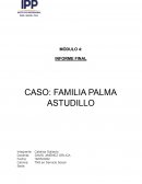 INFORME FINAL CASO: FAMILIA PALMA ASTUDILLO
