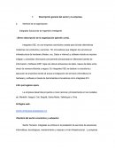 Integrales Soluciones de Ingeniería Inteligente