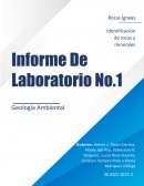 Informe de lab rocas sedimentarias
