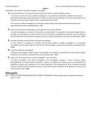 Acumulación de capital y progreso tecnológico