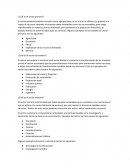 ¿Cuál es el sector primario?