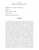 Ensayo: psicologia clinica y de la salud