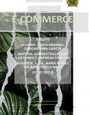 ENSAYO SOBRE EL E-COMMERCE