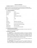 El sembrío de la caña (saccharum officinarum)