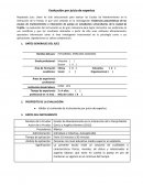 EVALUACION DE JUICIO EXPERTOS