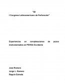 PETROLEOS DE VENEZUELA, S.A. PDVSA INTEVEP VENEZUELA RESUMEN