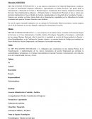 P&P SOLUCIONES INTEGRALES,C.A