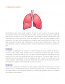 Respiración (parte 2)