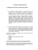 Cuidado sistema digestivo