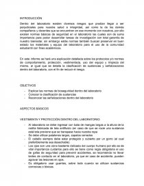 VESTIMENTA Y PROTECCIÓN DENTRO DEL LABORATORIO. Página 1