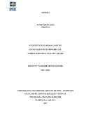 Determinar las patologías y el origen de la Amnesia