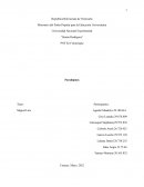 PNF En Fisioterapia Paradigmas